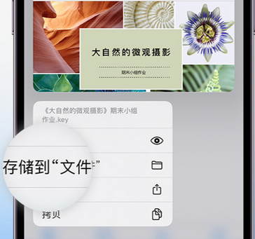 遂川apple维修中心分享iPhone文件应用中存储和找到下载文件