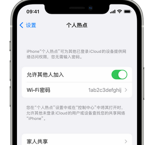 遂川apple服务站点分享iPhone上个人热点丢失了怎么办 