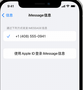 遂川apple维修iPhone上无法正常发送iMessage信息 