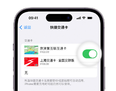 遂川apple维修点分享iPhone上更换Apple Pay快捷交通卡手绘卡面 