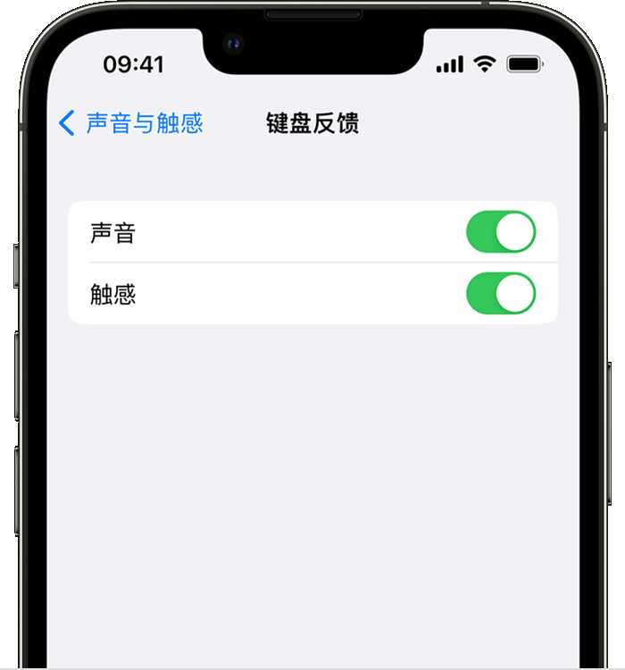 遂川苹果14维修店分享如何在 iPhone 14 机型中使用触感键盘 