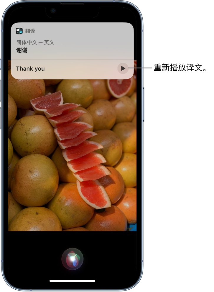 遂川苹果14维修分享 iPhone 14 机型中使用 Siri：了解 Siri 能帮你做什么 