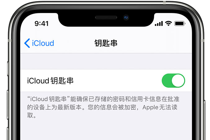 遂川苹果手机维修分享在 iPhone 上开启 iCloud 钥匙串之后会储存哪些信息 