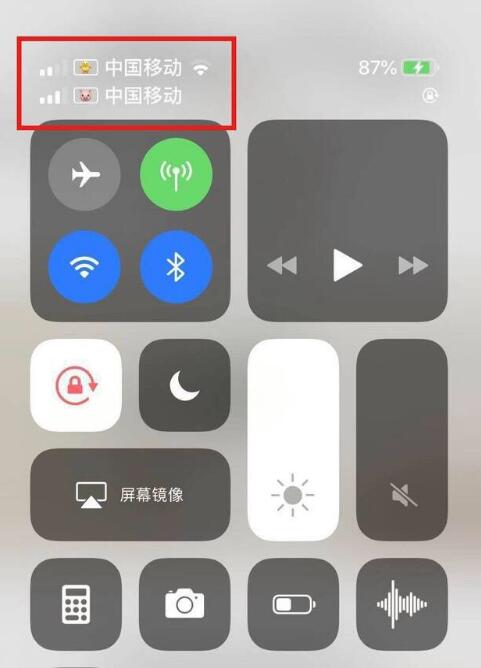 遂川苹果手机维修分享为 iPhone 12 双卡设置标签 